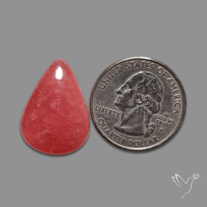 Gemmy Rhodochrosite Cabochon