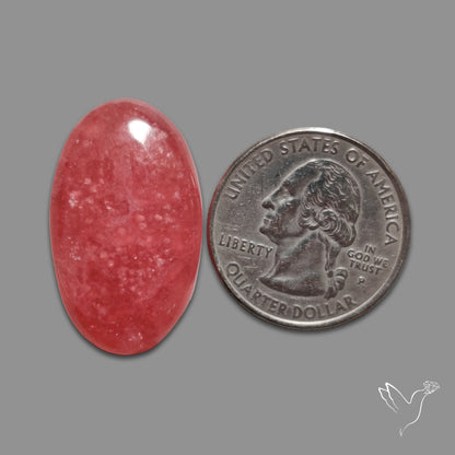 Gemmy Rhodochrosite Cabochon