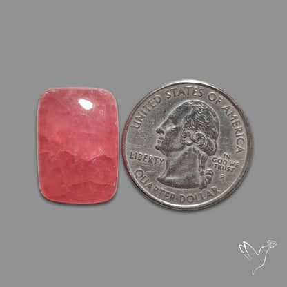 Gemmy Rhodochrosite Cabochon
