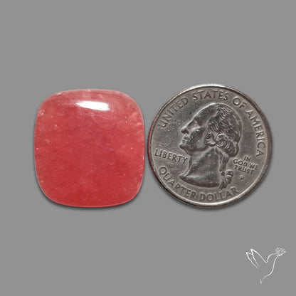 Gemmy Rhodochrosite Cabochon