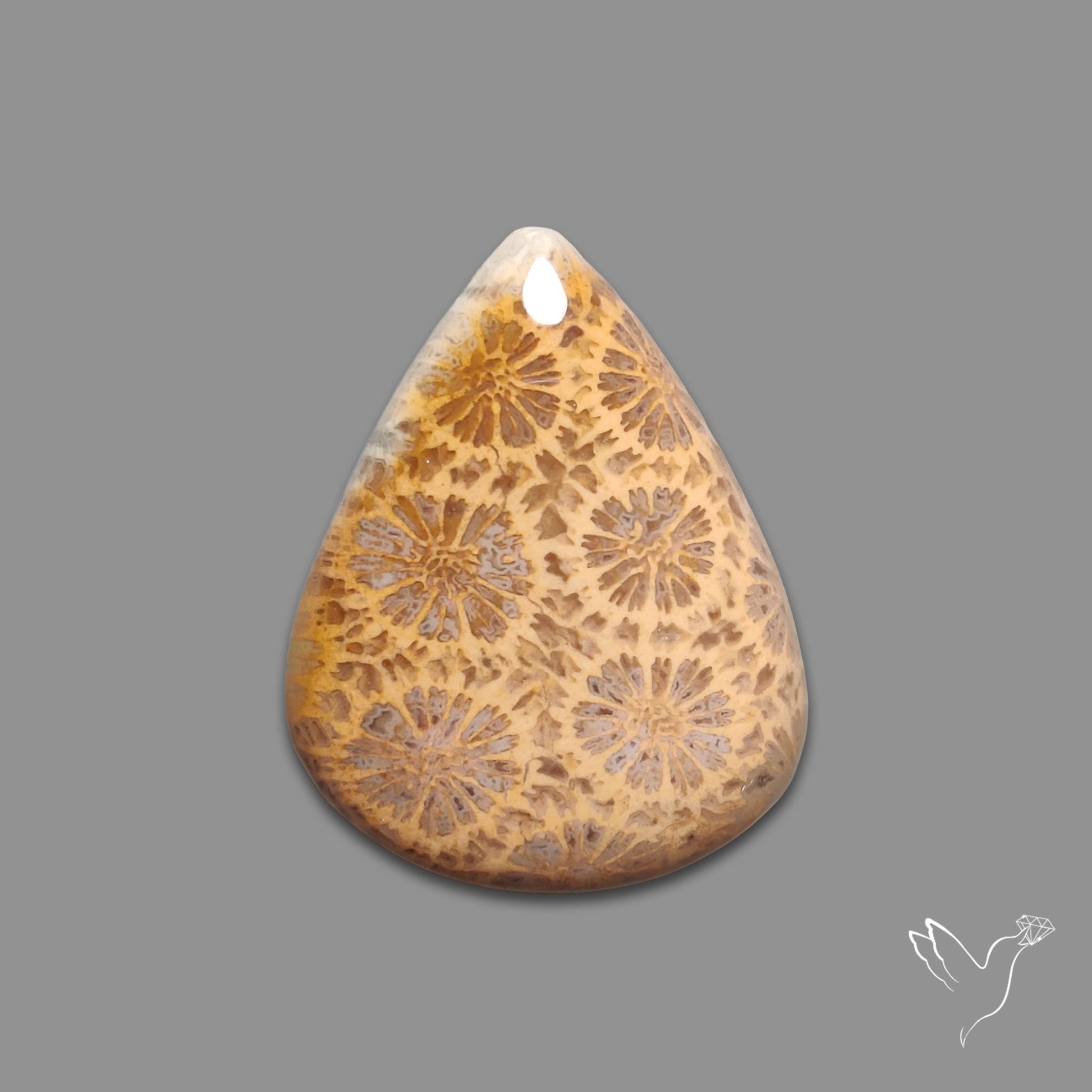 Fossil Coral Cabochon