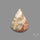 Fossil Coral Cabochon