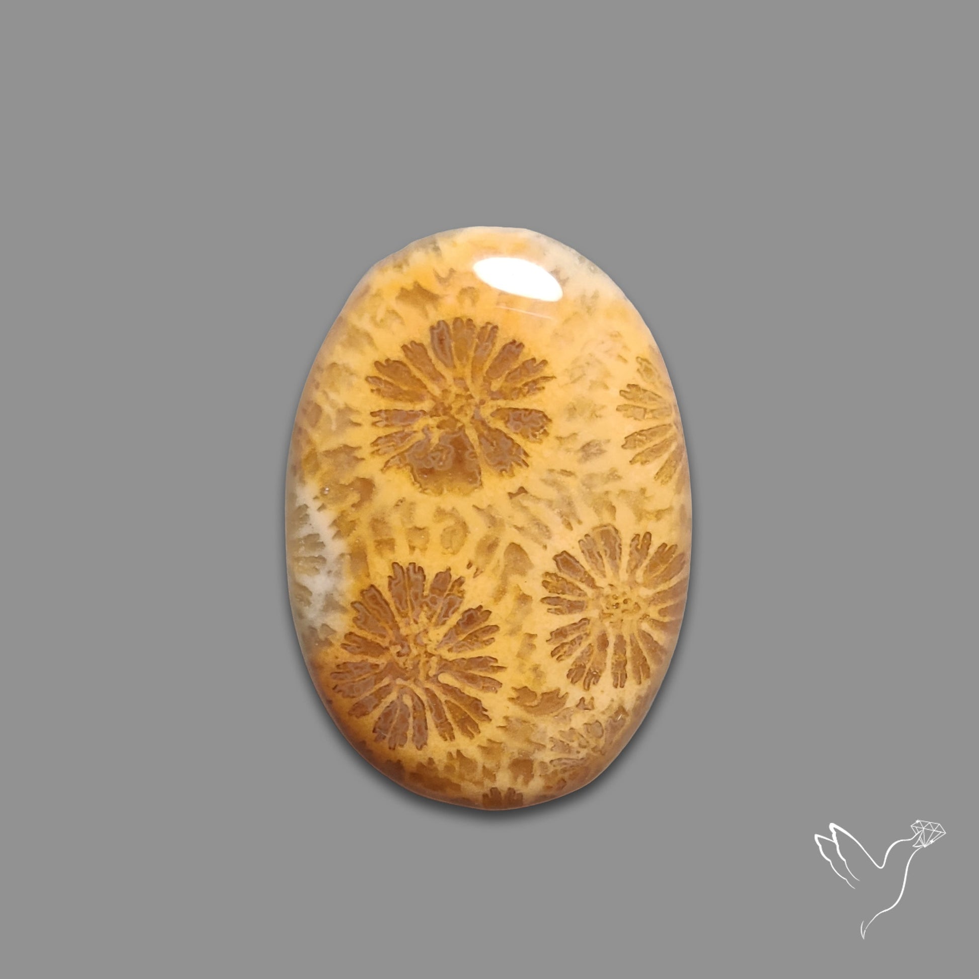 Fossil Coral Cabochon