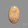 Fossil Coral Cabochon