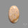 Fossil Coral Cabochon