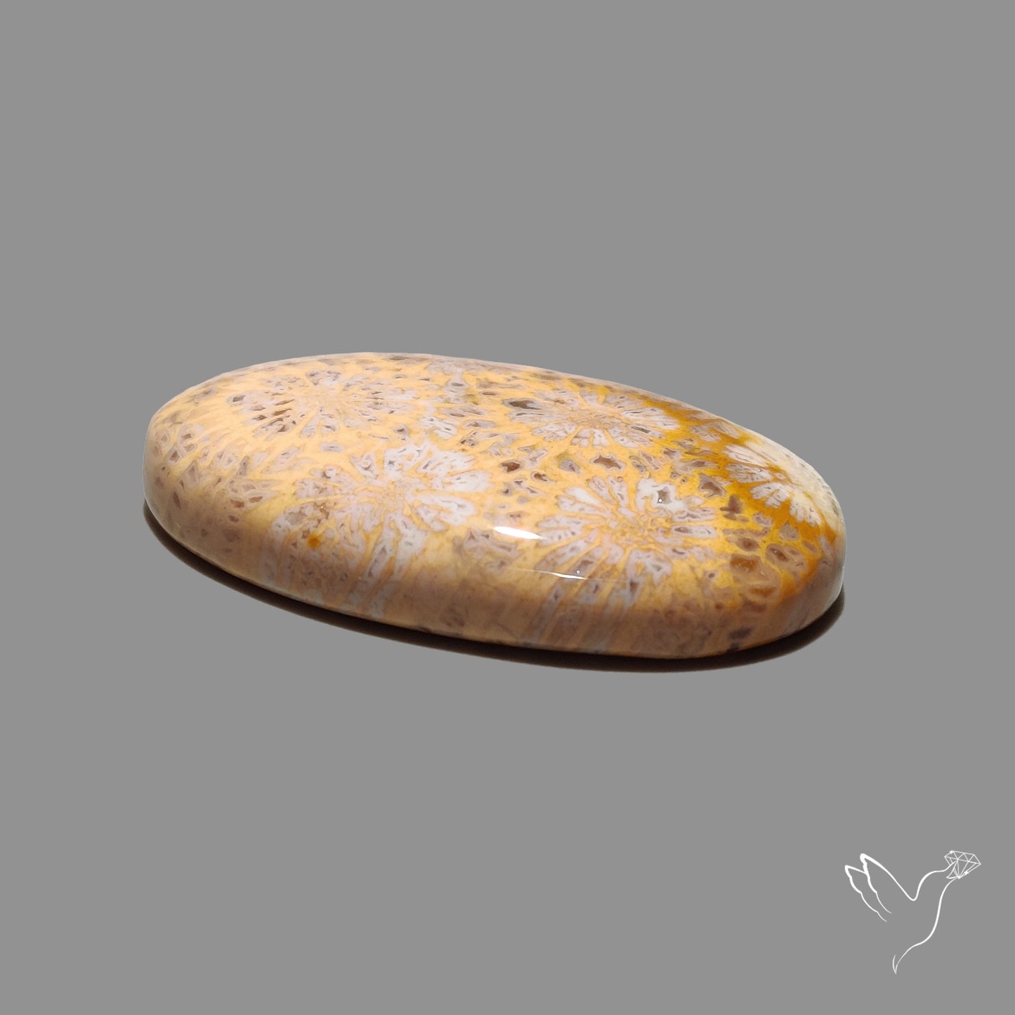 Fossil Coral Cabochon