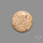 Fossil Coral Cabochon