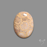 Fossil Coral Cabochon