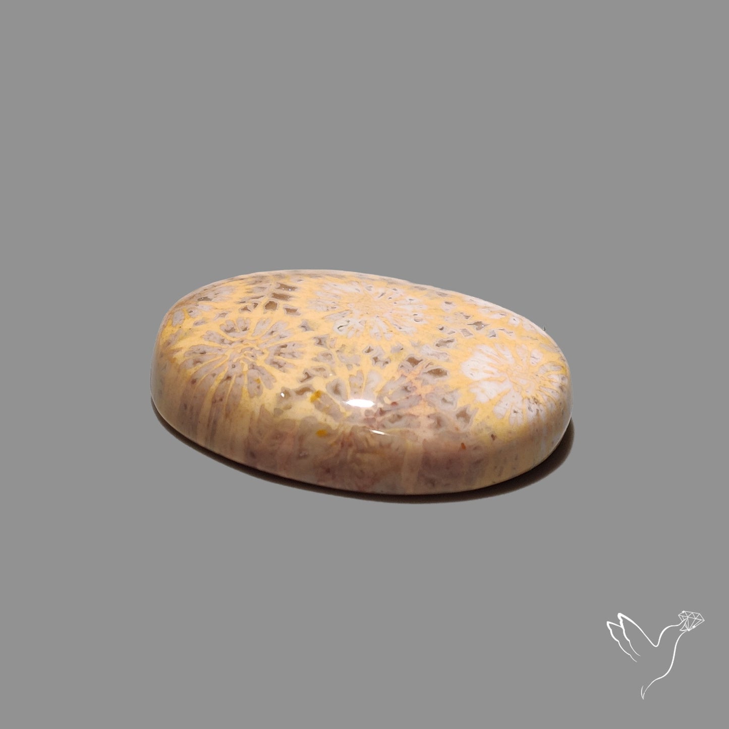 Fossil Coral Cabochon