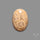 Fossil Coral Cabochon