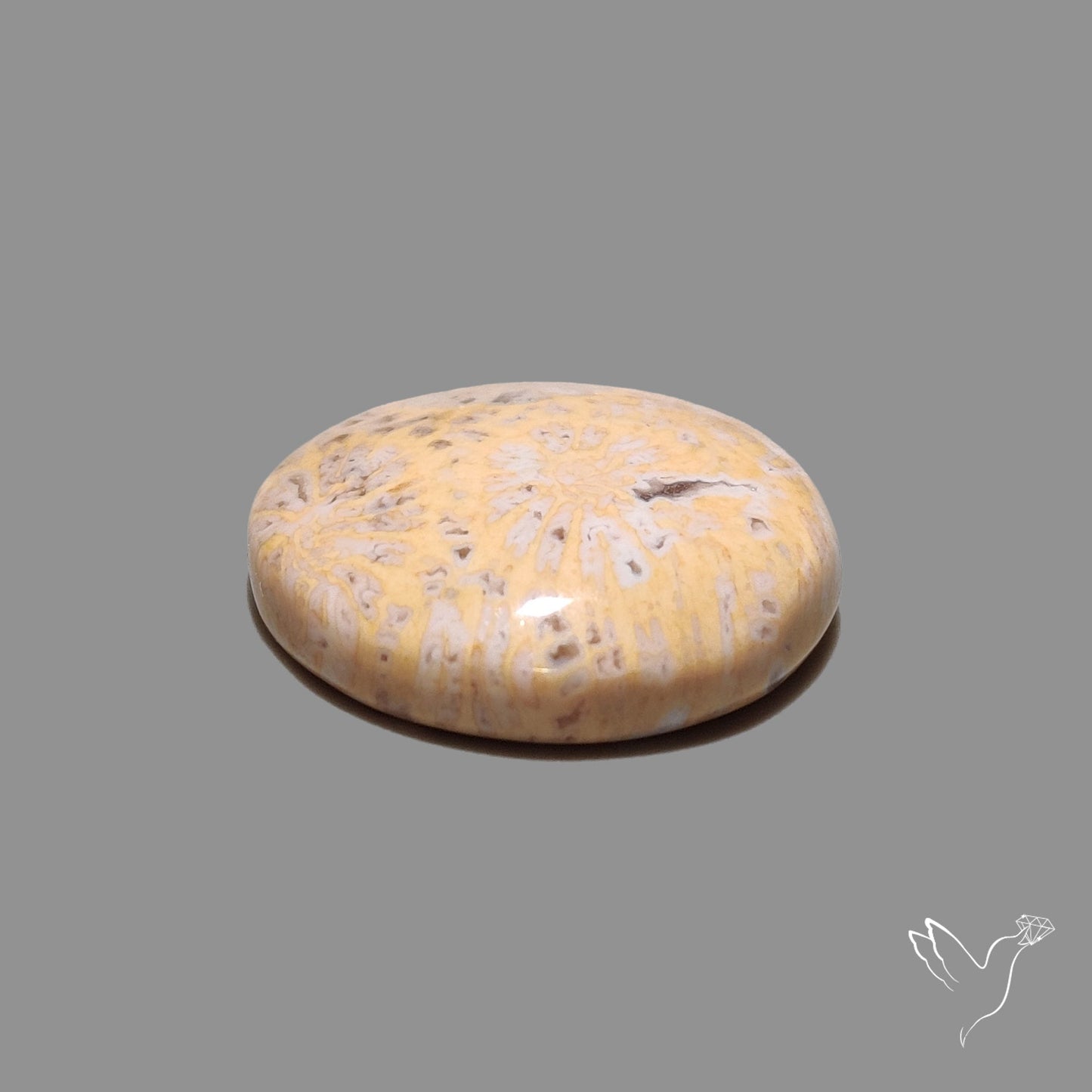 Fossil Coral Cabochon