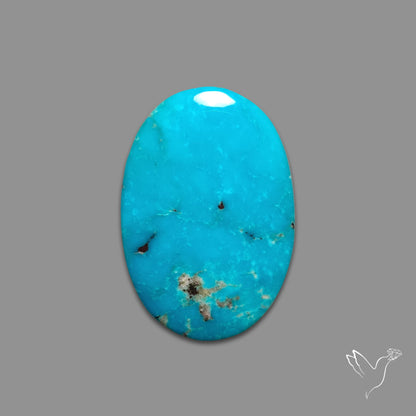 Kingman Turquoise Cabochon