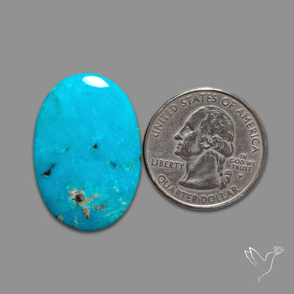 Kingman Turquoise Cabochon