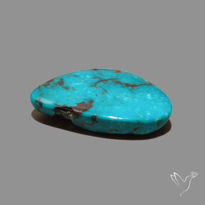 Large Kingman Turquoise Cabochon