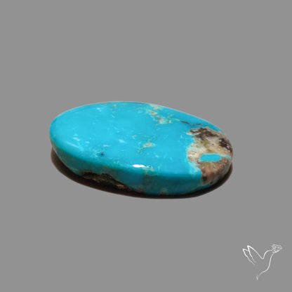 Kingman Turquoise Cabochon