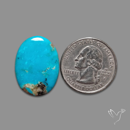 Kingman Turquoise Cabochon
