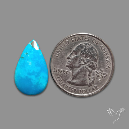 Kingman Turquoise Cabochon