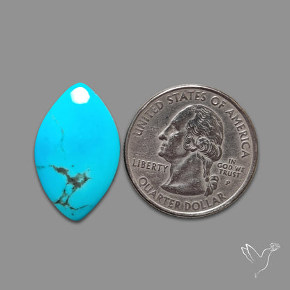 Kingman Turquoise Cabochon