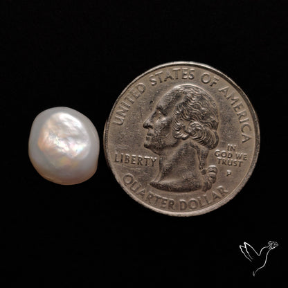 Freshwater Pearl Freeform