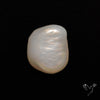 Freshwater Pearl Freeform