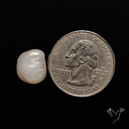 Freshwater Pearl Freeform