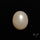 Freshwater Pearl