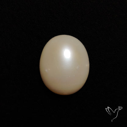 Freshwater Pearl