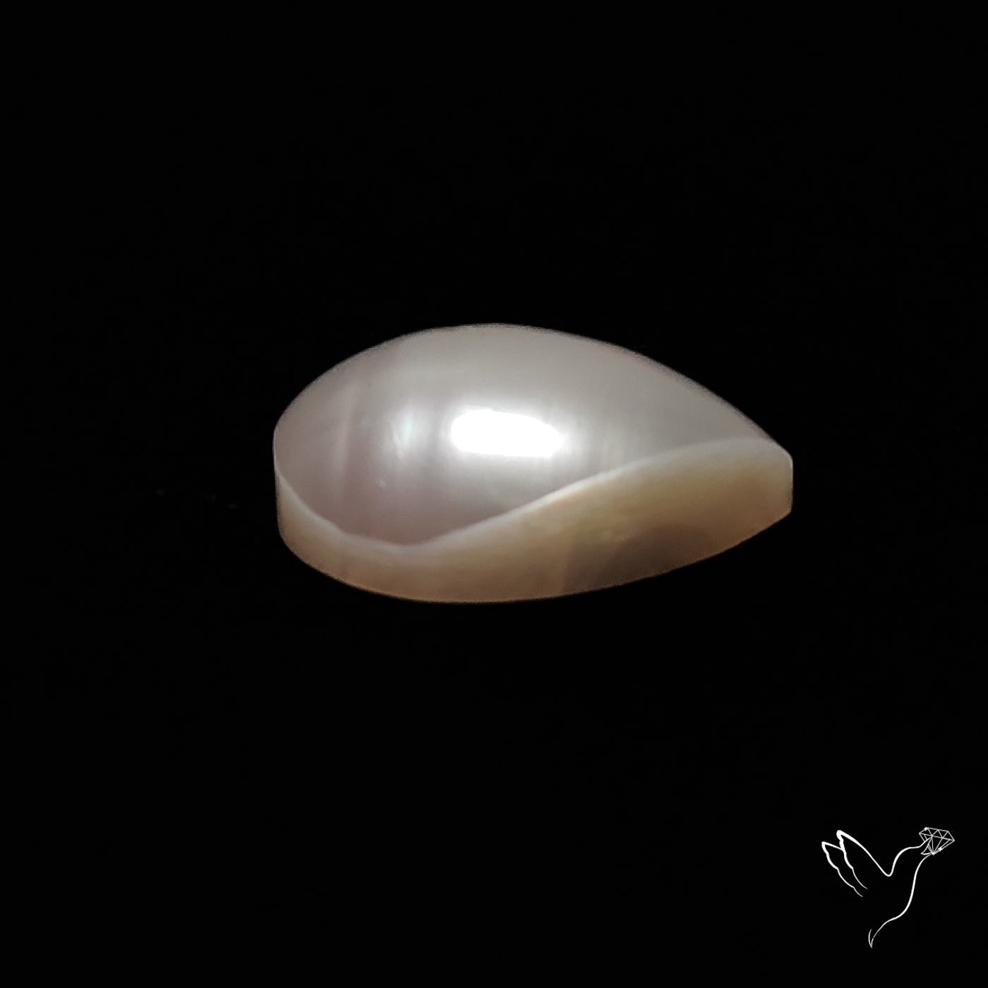 Freshwater Pearl