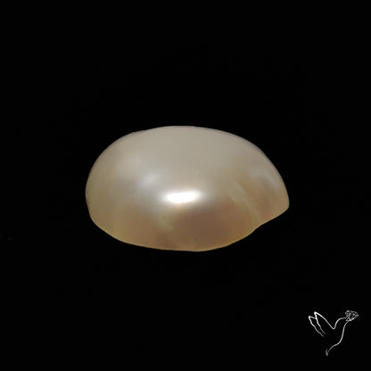 Freshwater Pearl Freeform