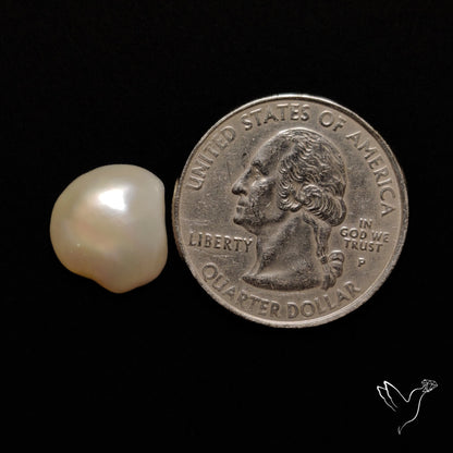 Freshwater Pearl Freeform