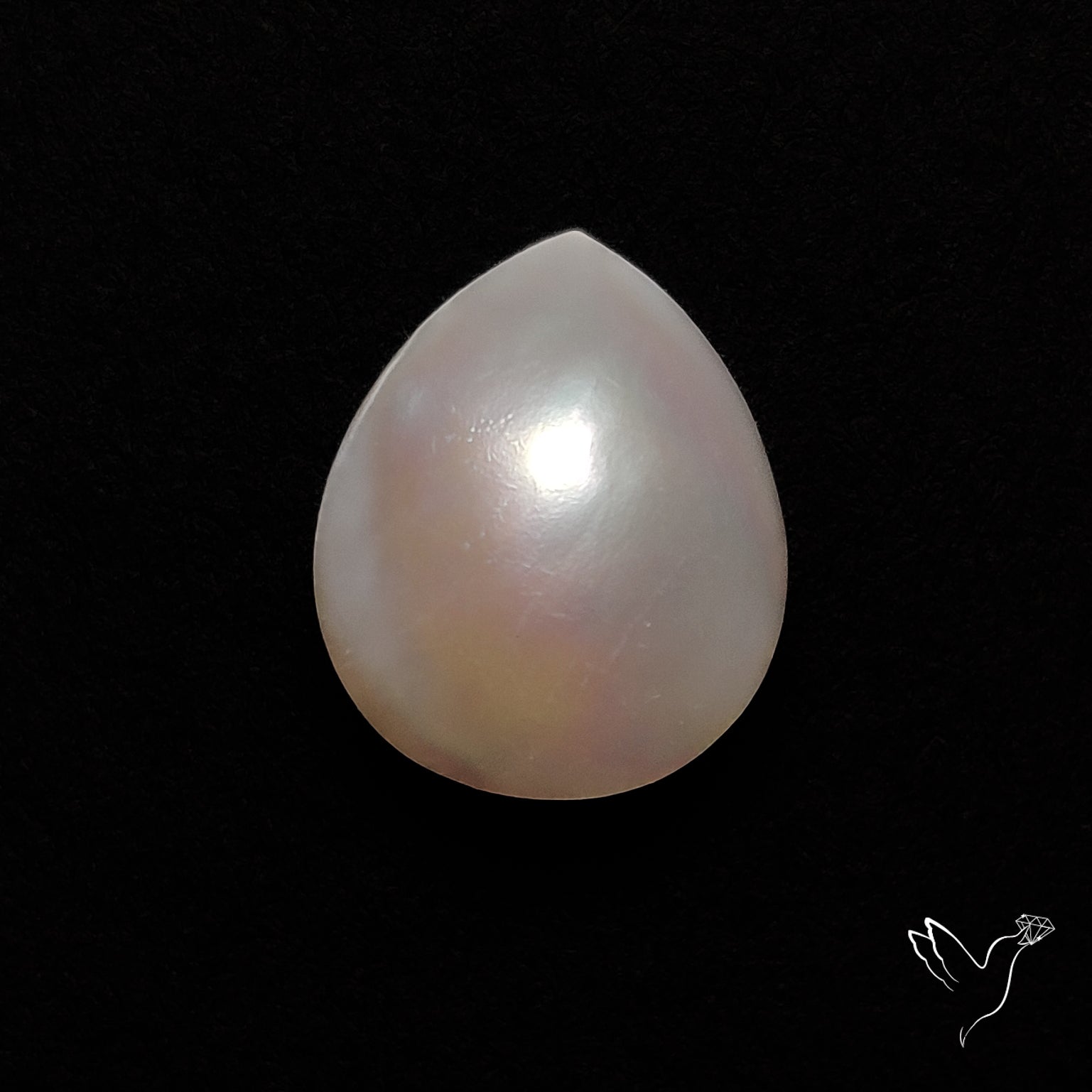 Freshwater Pearl