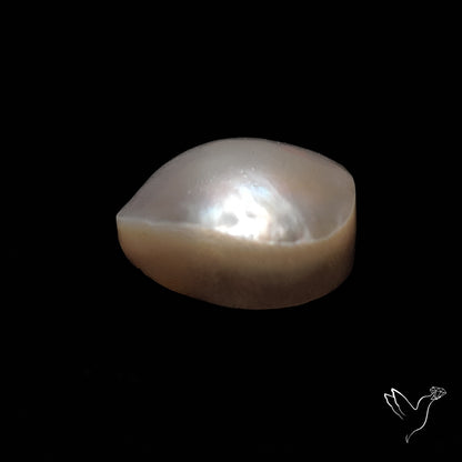 Freshwater Pearl