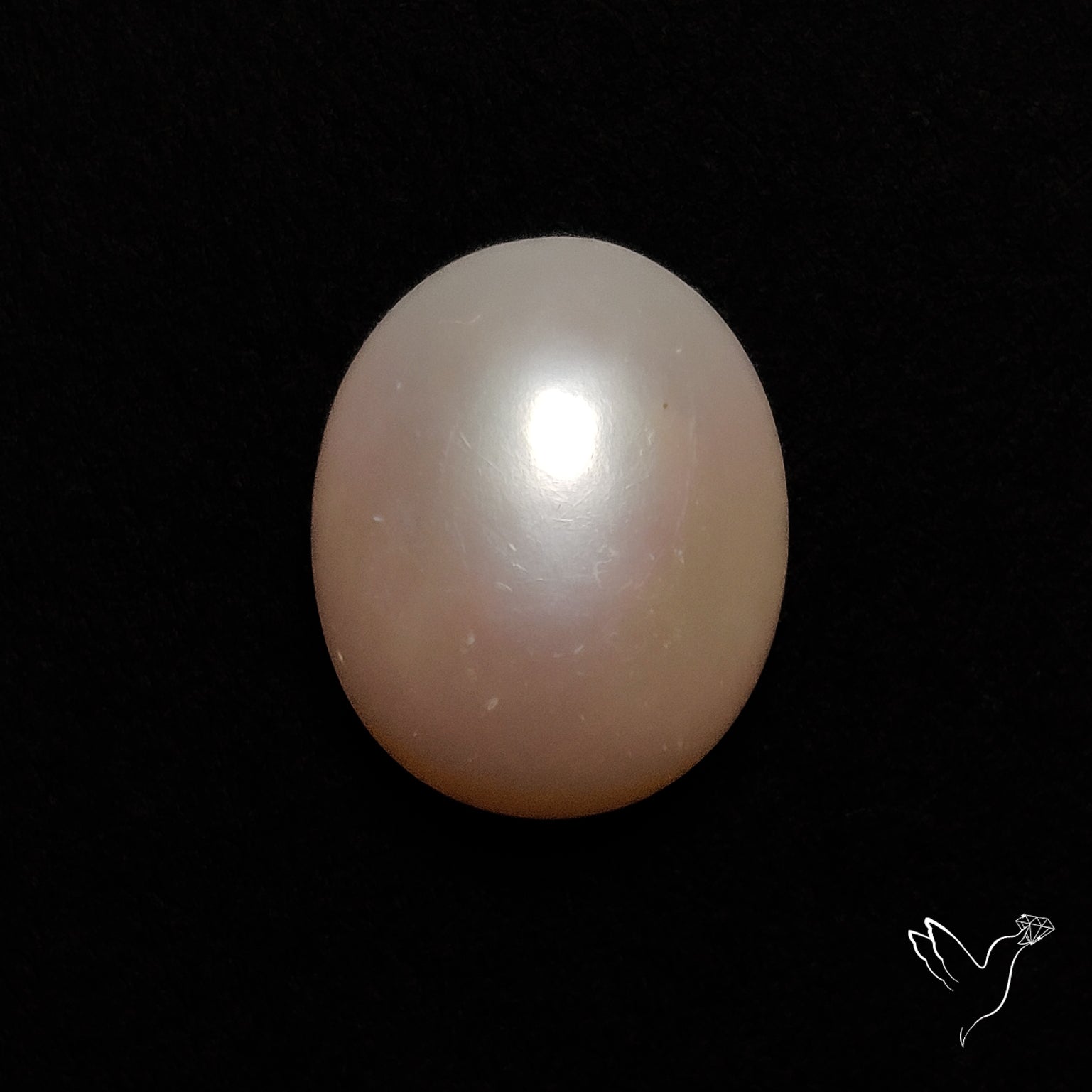 Freshwater Pearl