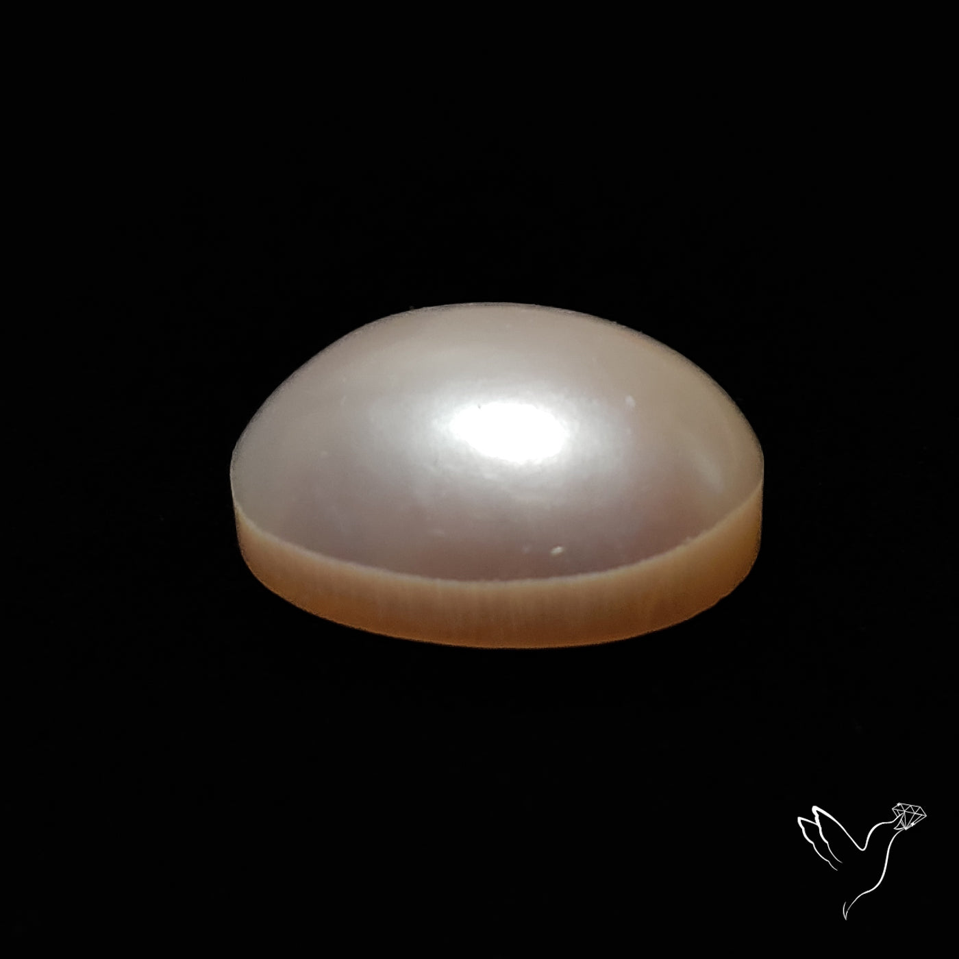 Freshwater Pearl
