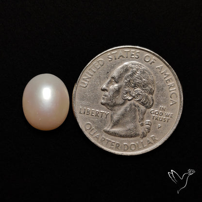 Freshwater Pearl