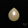 Freshwater Pearl