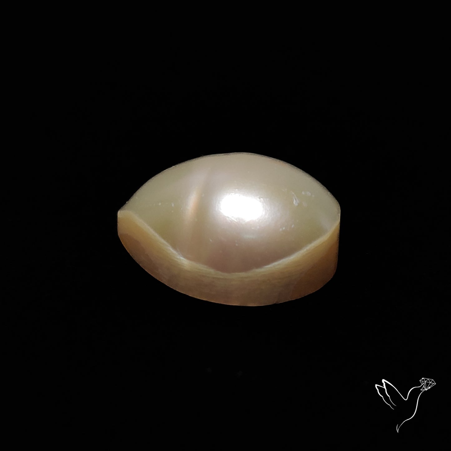Freshwater Pearl