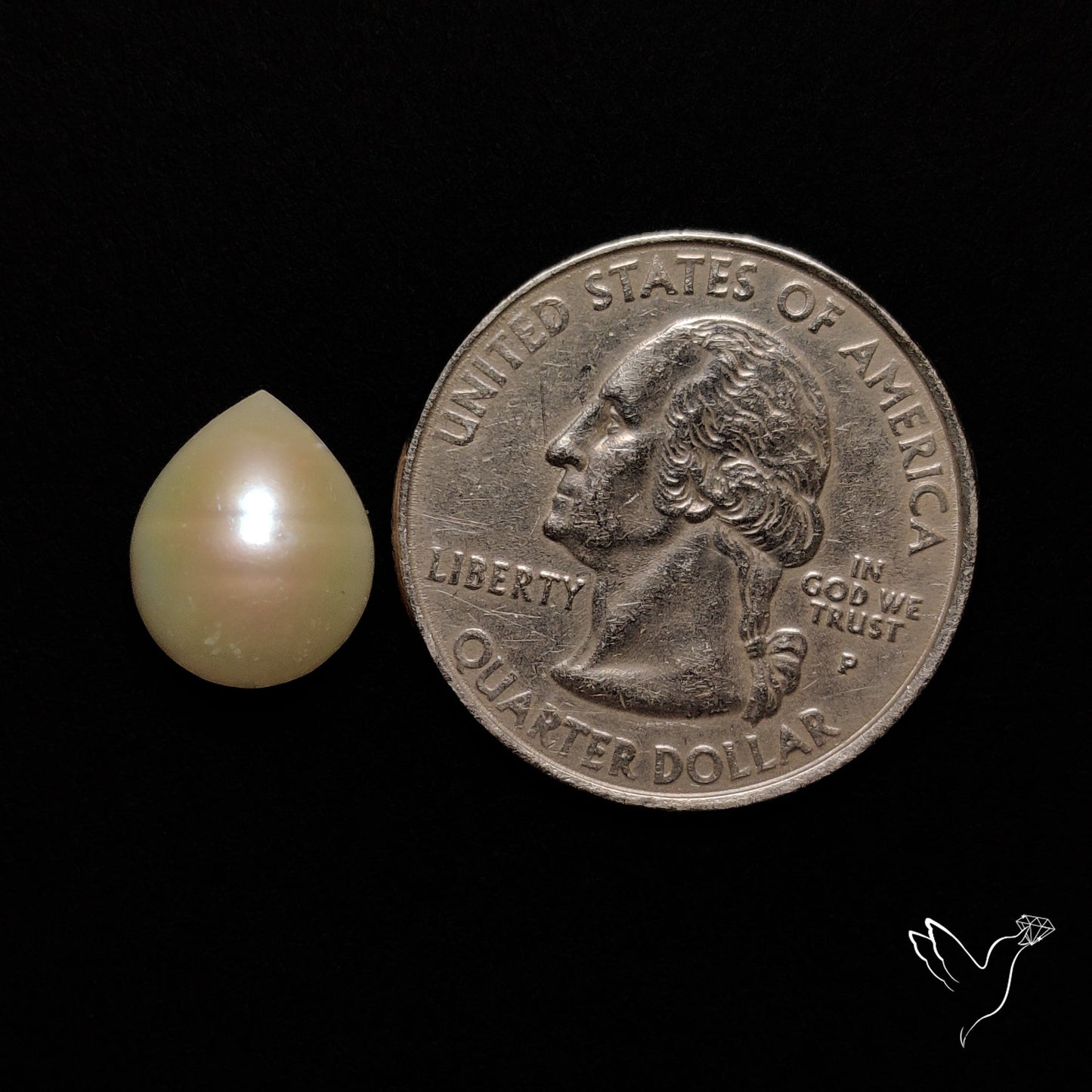Freshwater Pearl