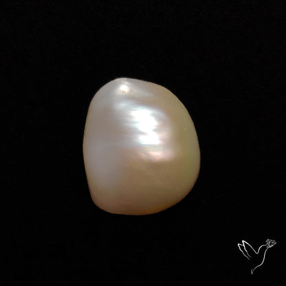 Freshwater Pearl Freeform
