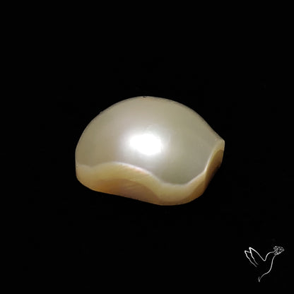 Freshwater Pearl