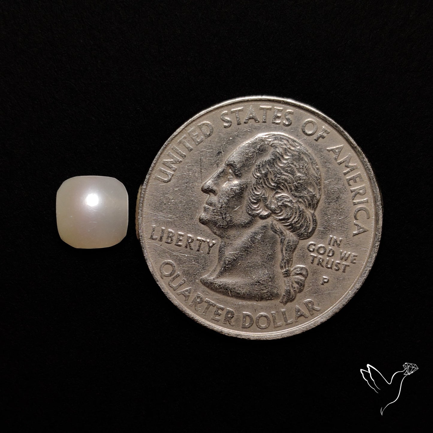 Freshwater Pearl