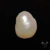 Freshwater Pearl Freeform