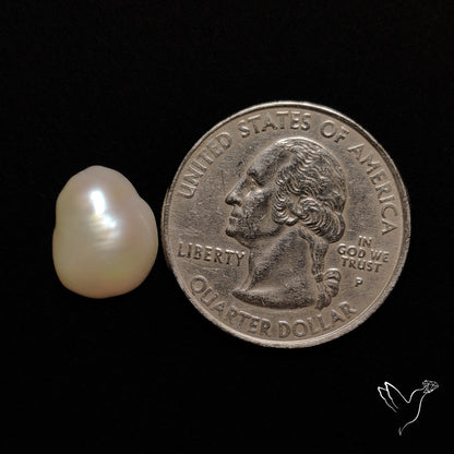 Freshwater Pearl Freeform