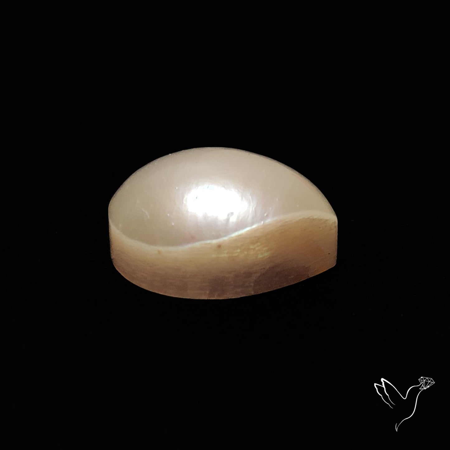 Freshwater Pearl