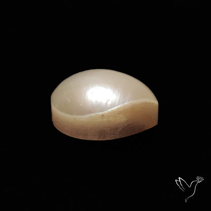 Freshwater Pearl