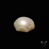 Freshwater Pearl
