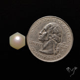 Freshwater Pearl