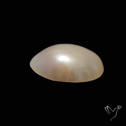 Freshwater Pearl Freeform