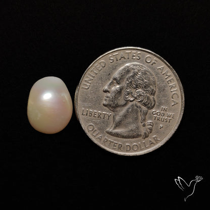Freshwater Pearl Freeform