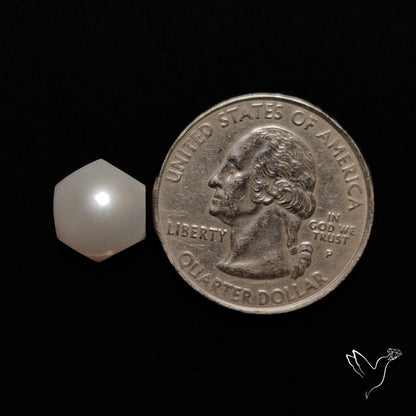 Freshwater Pearl Hexagon